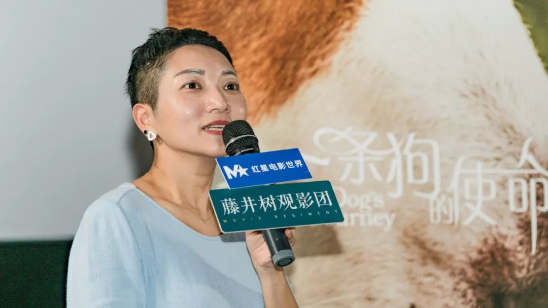 明明一直在笑,却又泪点无数。《一条狗的使命2》【观影报告】 明明一直在笑,却又泪点无数。《一条狗的使命2》【观影报告】