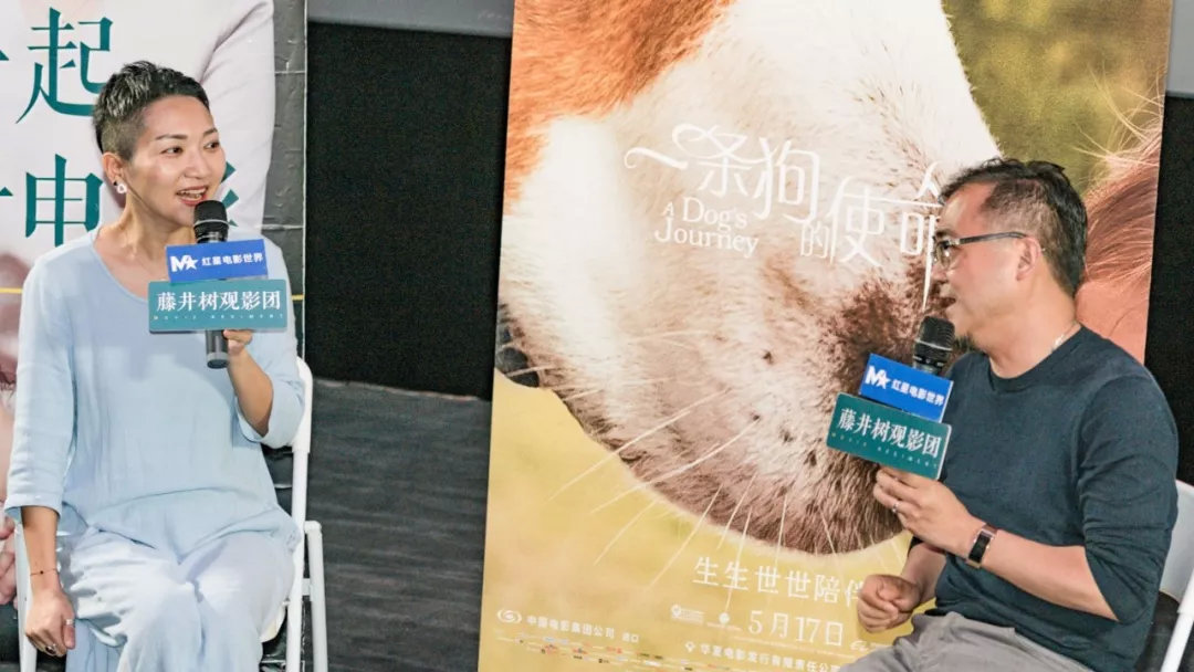 明明一直在笑,却又泪点无数。《一条狗的使命2》【观影报告】 明明一直在笑,却又泪点无数。《一条狗的使命2》【观影报告】