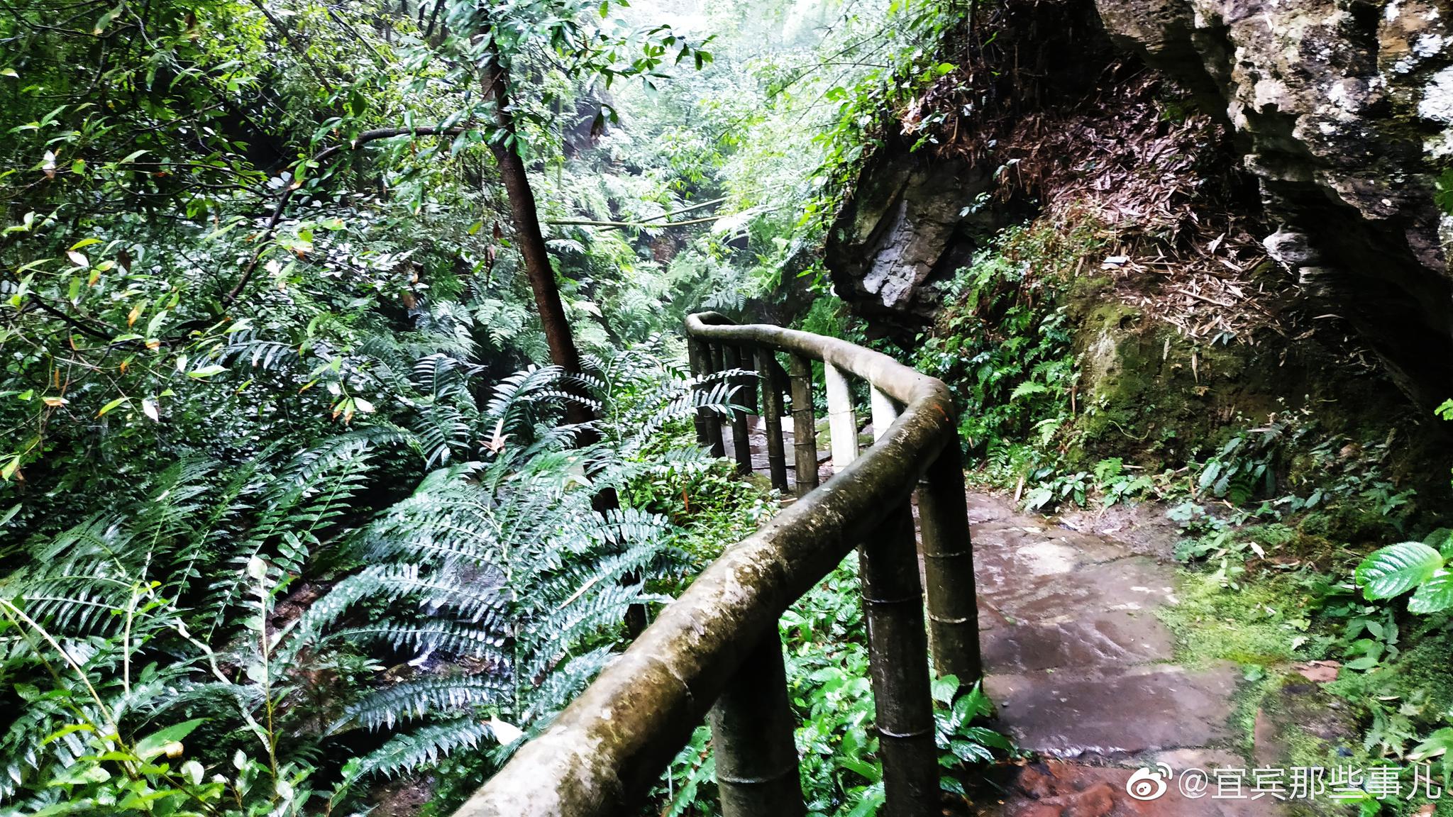 宜宾兴文僰王山道洞，起于龙泉湖，止于唤雨岩，全长3公里