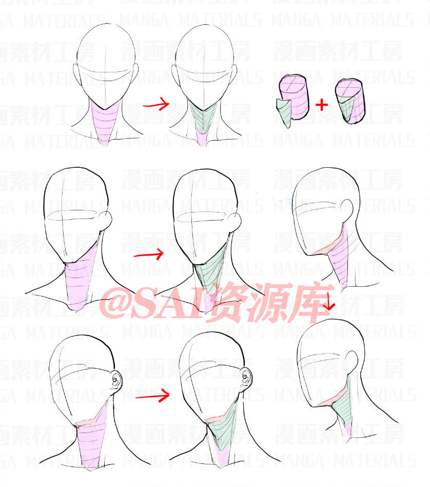 脸部脖子绘画参考资料 自己收藏 转需 作者 脸部 工房 绘画 新浪新闻