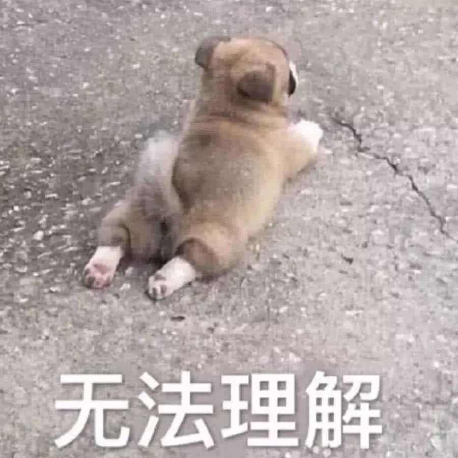汪星人表情包167:滚啊!愁啊!怂炸!出不出来玩…卸妆了!无法理解!