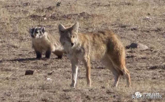 在美墨边境寻找失踪的偷渡者...