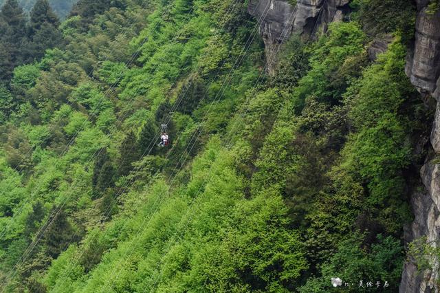 魔幻重庆最网红的景区，奥陶纪的尖叫指数到底有多高？