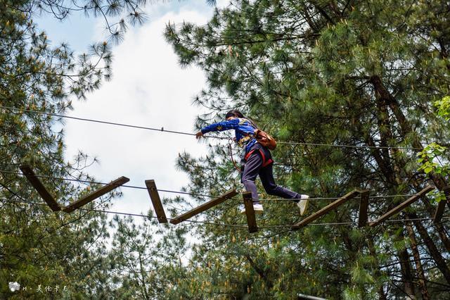 魔幻重庆最网红的景区，奥陶纪的尖叫指数到底有多高？