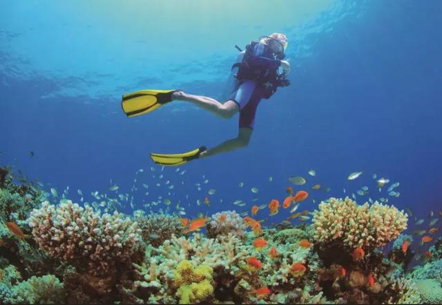 来自三亚人的反击,没有穿泳衣在海边踩过水的冬天,不叫冬天!