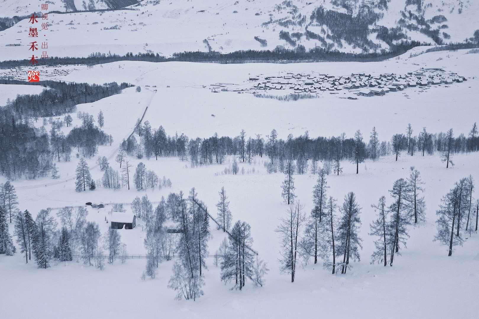 全国人口最大的自然村_世界上最大的蛇