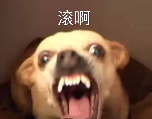 汪星人表情包167:滚啊!愁啊!怂炸!出不出来玩…卸妆了