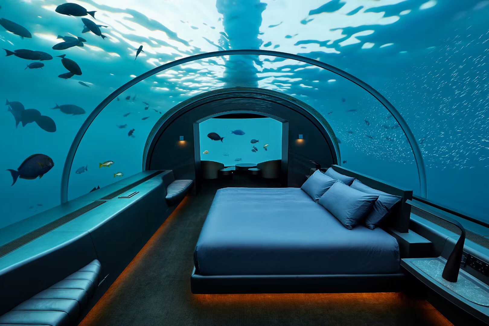 住在10万＋一晚的海底套房是种怎样的体验|浴室|礁湖|海底_新浪新闻