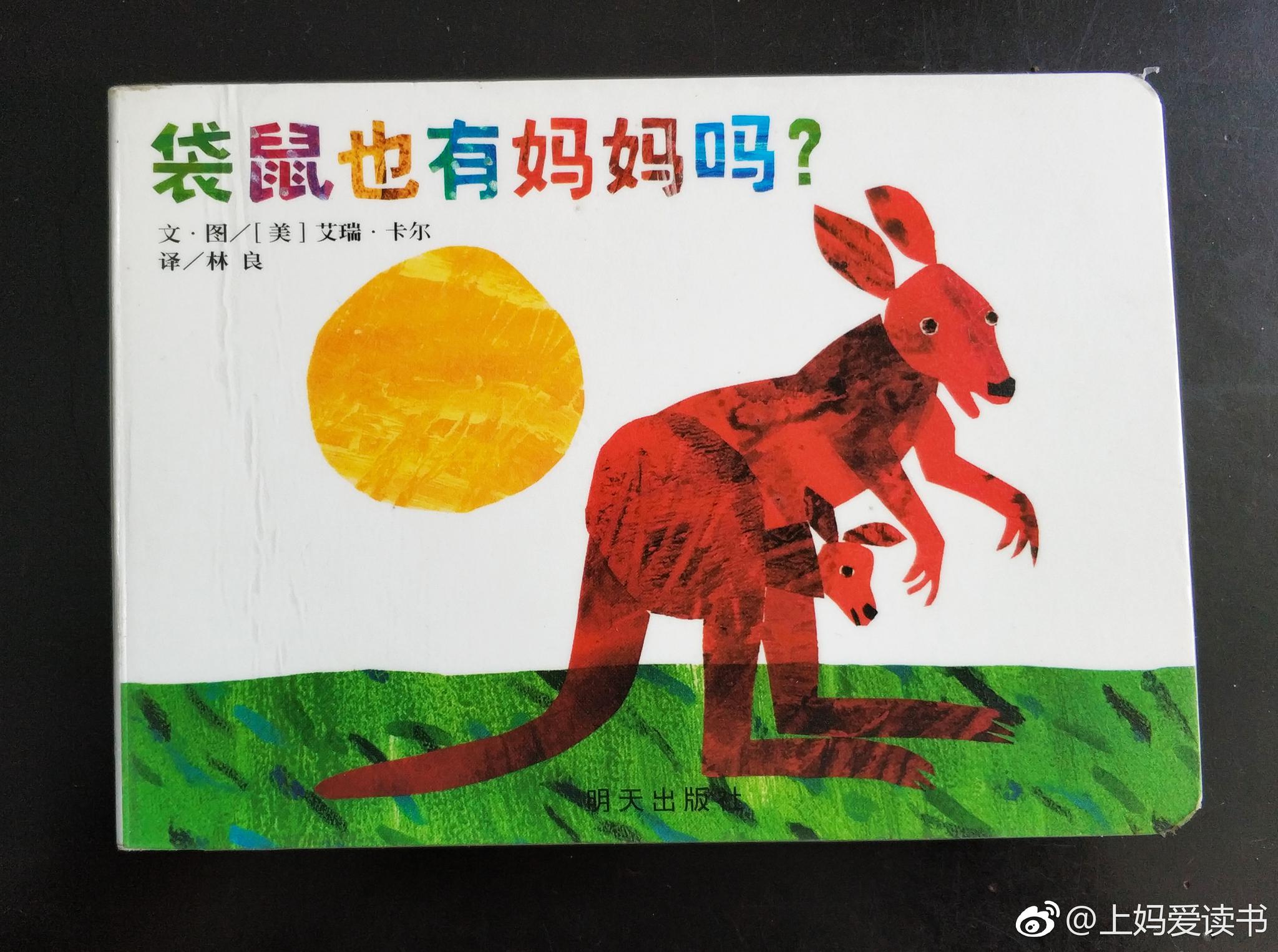 袋鼠儿童绘本4插画图片-千库网