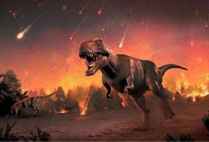 恐龙灭绝之后,人类诞生之前,谁是地球的霸主?科学家已