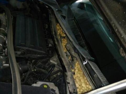 老鼠藏在车里的花生，做保养的时候被发现了，这年是没法过了！