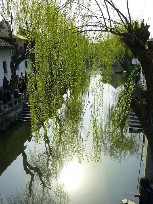 烟柳画桥,风帘翠幕。