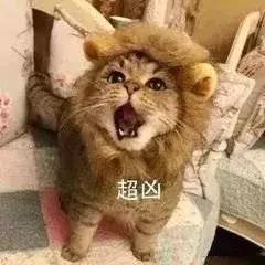 搞笑图片凶人必备系列看我这六块腹肌