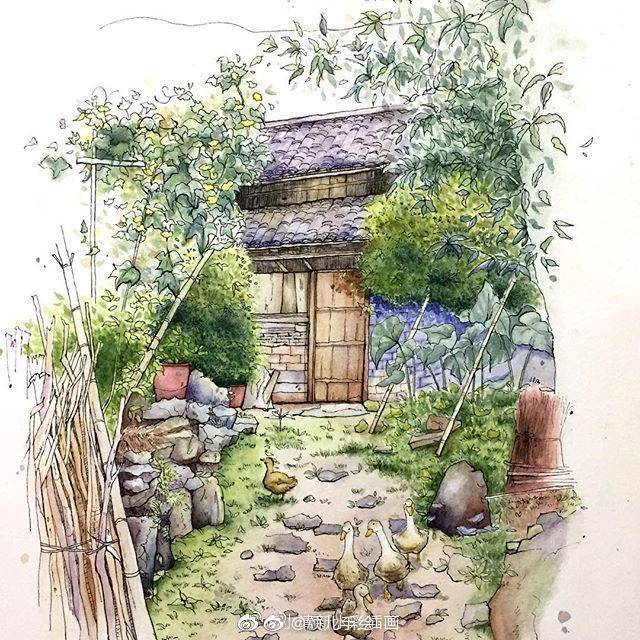 钢笔淡彩.ins:krystal_jin_626