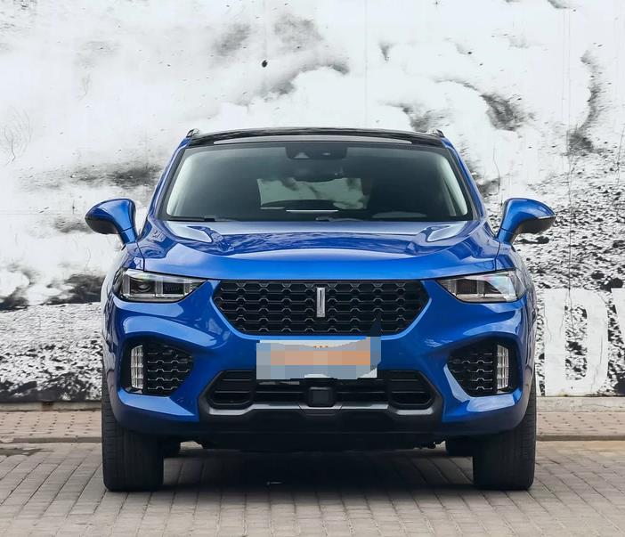 领略一款长城汽车-WEY VV5的外观