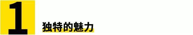 一台捷豹没有了声音会是怎样?