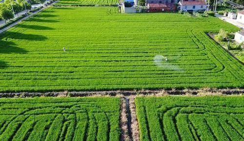 土地面积一平方公里等于多少亩地?