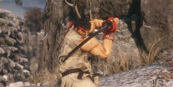 街霸5人物实力排名街头霸王5实力排行一览街头霸王5人物介绍(2)