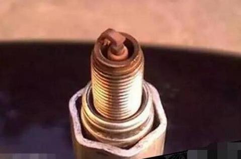 注意这五点，才是真的爱车一族！