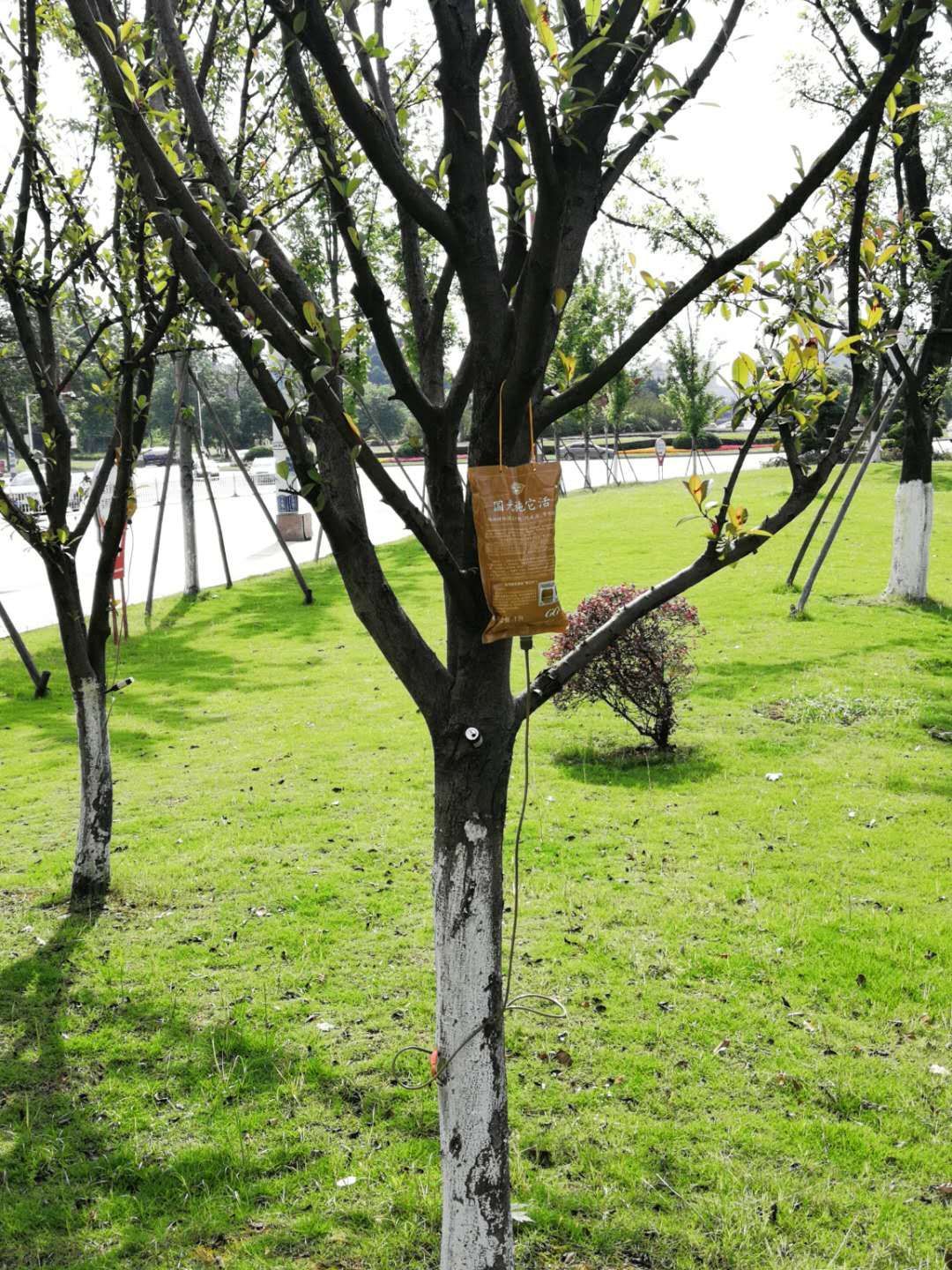 据报道，最新发现：昆明大树营嬢嬢在哪里能找到，真实体验分享与生活观察