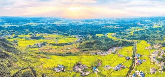 加义镇人口_人口普查图片(2)