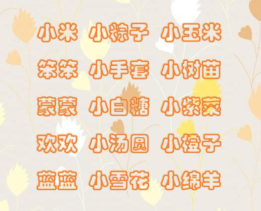 贴心好乳名，伴随一辈子，2019年的宝宝乳名小名大全