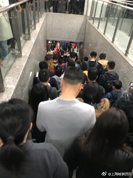 上海地铁九号线早高峰故障被挤上热搜 站内人山人海