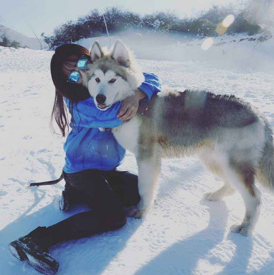 下雪天朋友圈拽英语It snows today,歪果仁