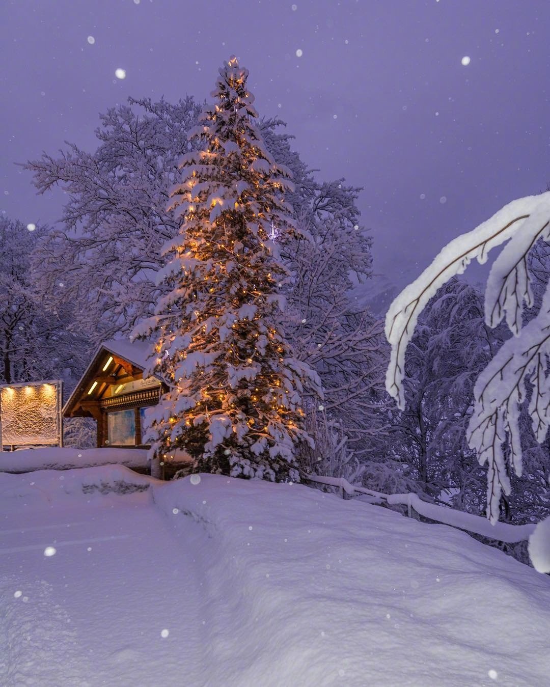 瑞士的雪中夜景,太美了,想和喜欢的人去过圣诞
