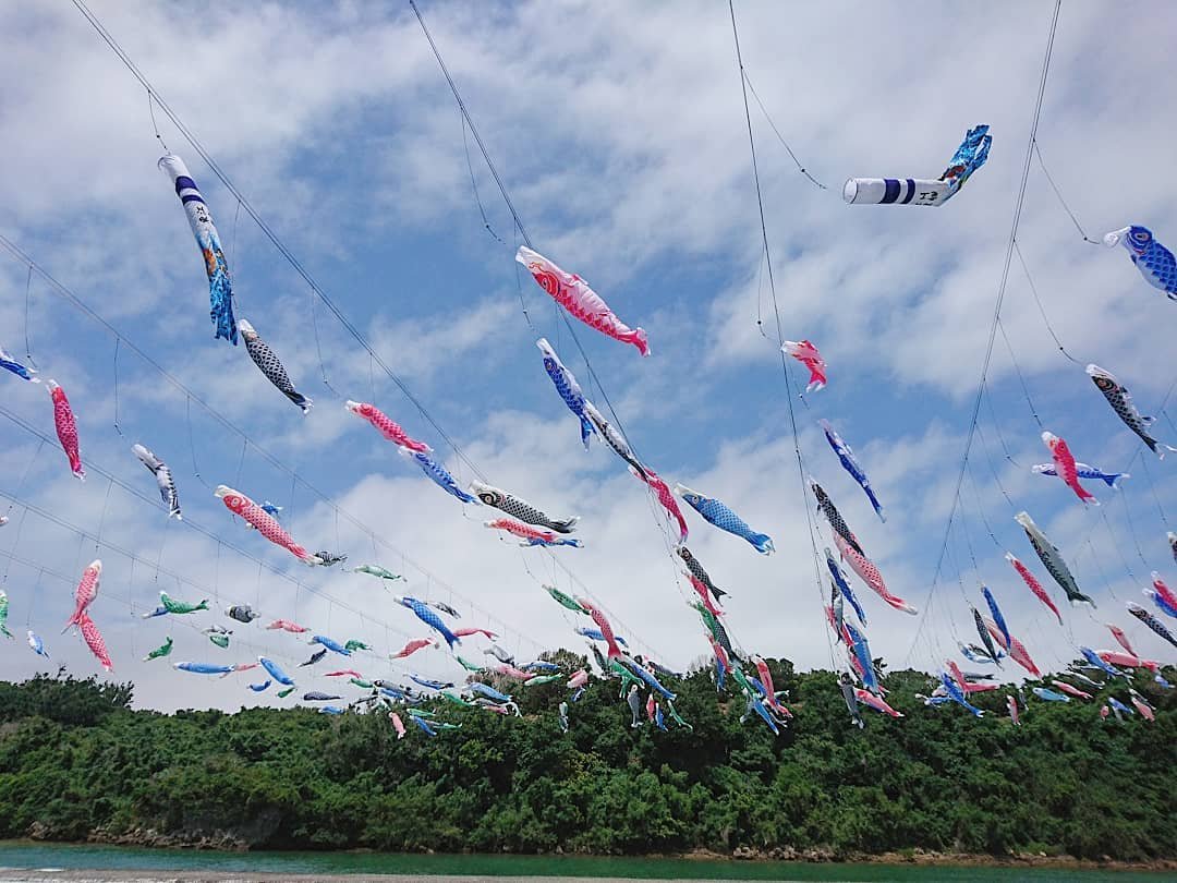 今天是日本的儿童节(こどもの日)鲤鱼旗早早就出现在各个角落满满