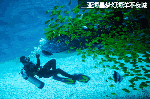 海南文娛綜合體，三亞海昌夢(mèng)幻海洋不夜城深度玩法大剖析！