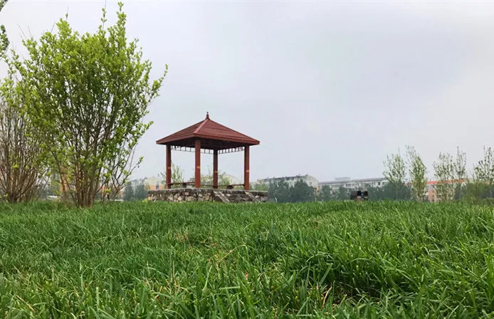 “五一”好去处!峰峰新建湿地公园清单全在这里啦~ “五一”好去处!峰峰新建湿地公园清单全在这里啦~