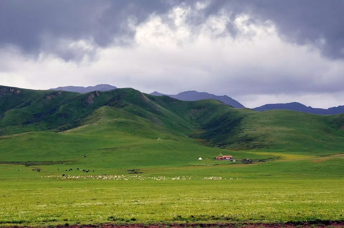 新疆旅游攻略（39）-新疆旅游景区景点关键字-新疆大草原 - 知乎