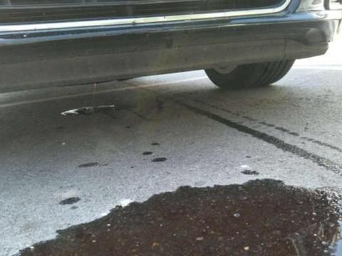 开车3年才知道，发动机漏油别着急，检查这个地方，准没错