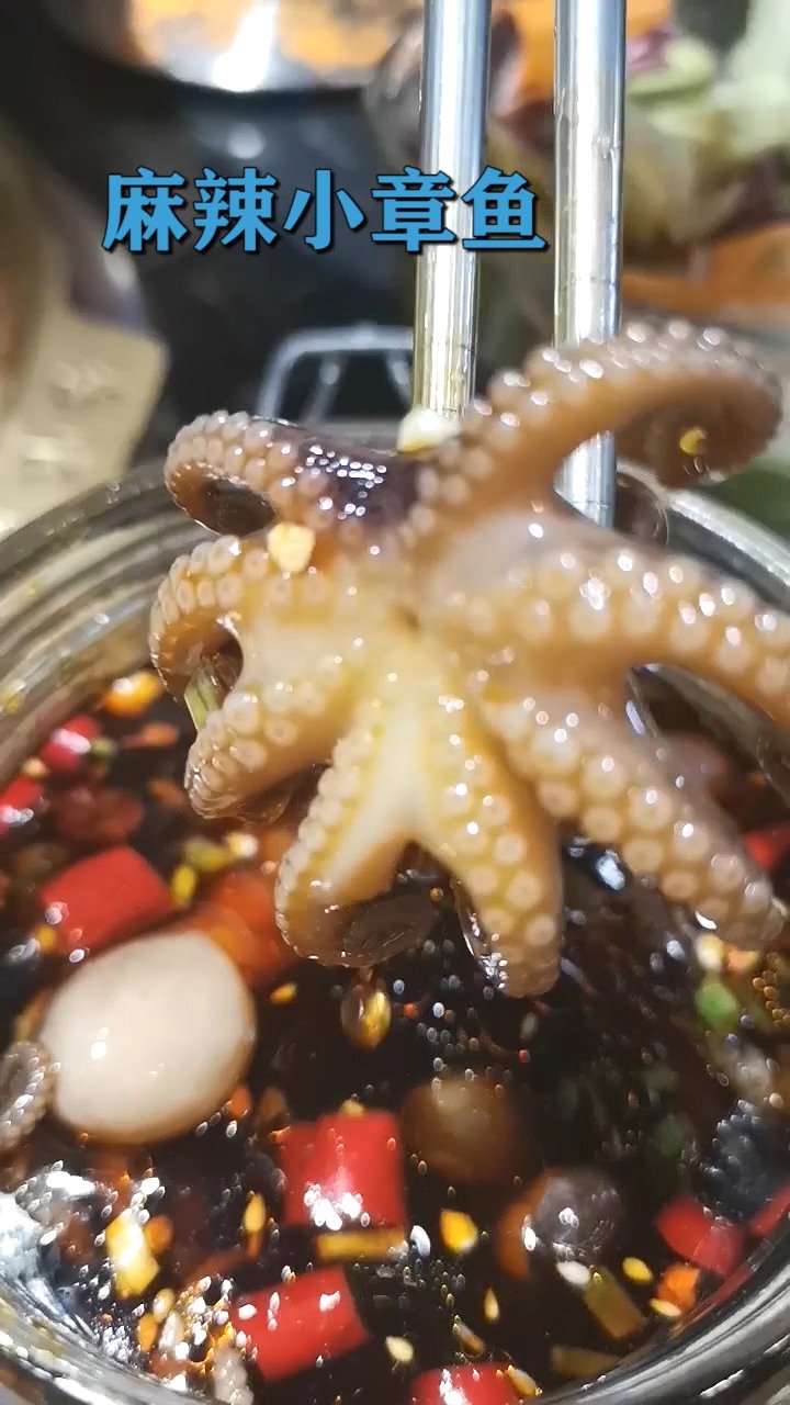 韩国超火的章鱼水煎肉终于来保定啦   跟我进来瞅瞅吧，呀