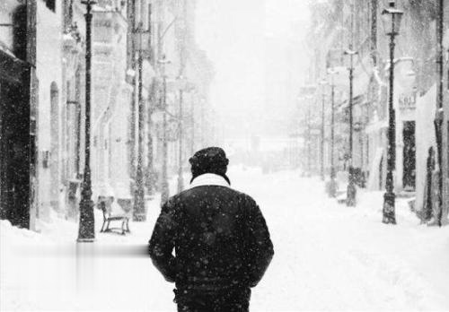 @部分汽车品牌：对不起，您已被“挤”出海南省