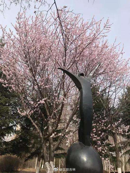 冰球突破像树一样生长（人民论坛）