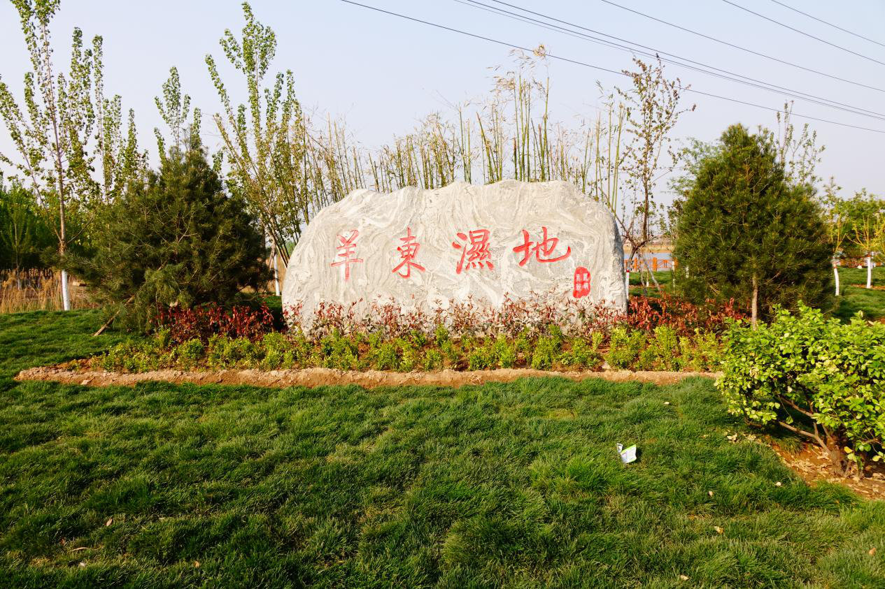 “五一”好去处!峰峰新建湿地公园清单全在这里啦~ “五一”好去处!峰峰新建湿地公园清单全在这里啦~