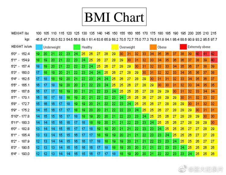 BMI BMI bmi-bmi