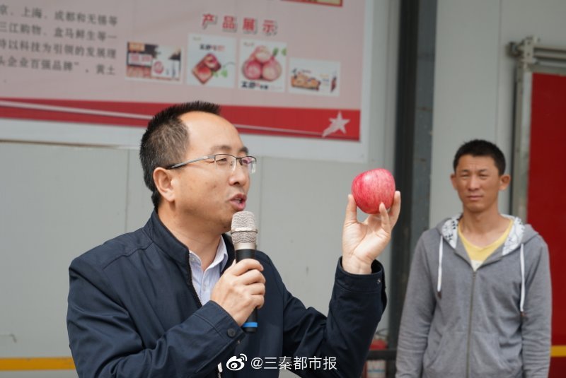 洛川县苹果管理局局局长张军旗介绍说,去年洛川苹果受冻害影响