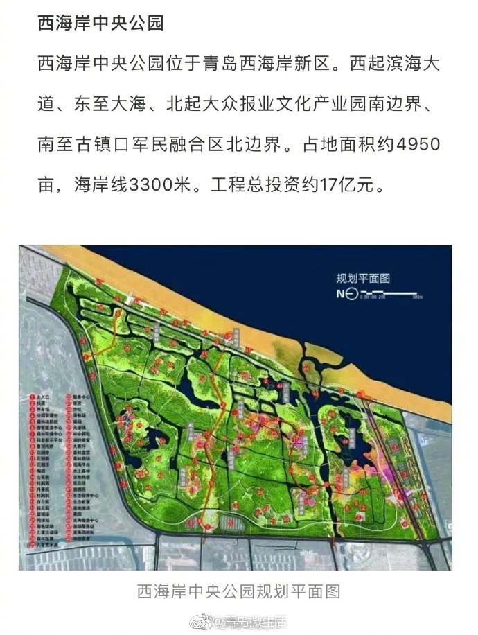 亚洲最大世界第三 西海岸再添一个国家森林公园