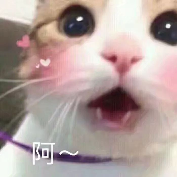 藏在角色背后的张亦驰，是个让人心动的宝藏男孩哇！