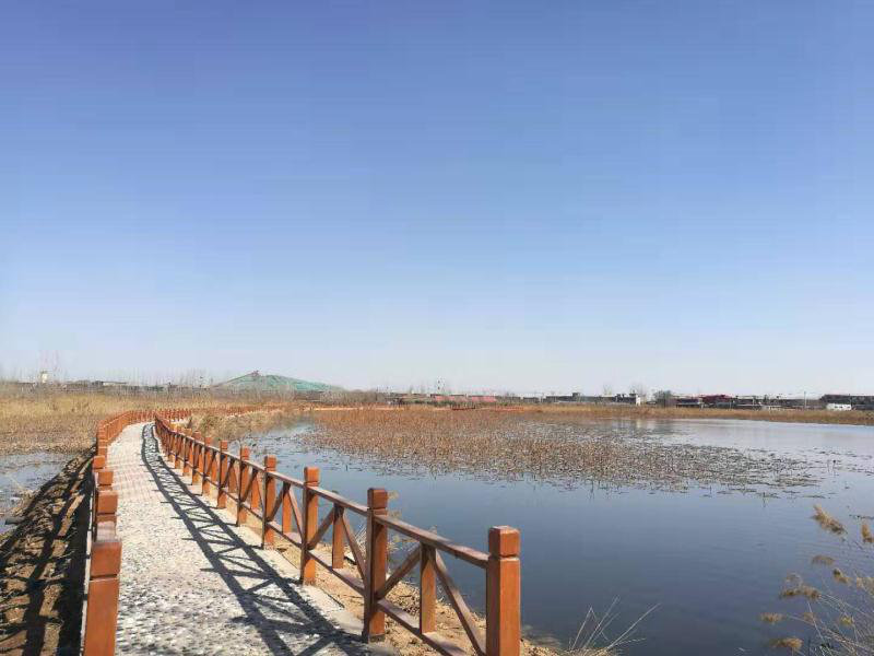 “五一”好去处!峰峰新建湿地公园清单全在这里啦~ “五一”好去处!峰峰新建湿地公园清单全在这里啦~