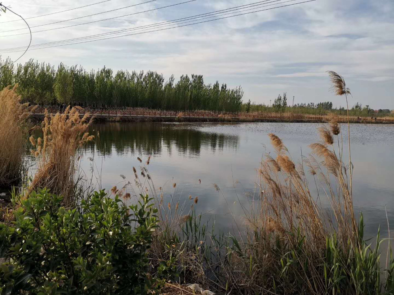 “五一”好去处!峰峰新建湿地公园清单全在这里啦~ “五一”好去处!峰峰新建湿地公园清单全在这里啦~