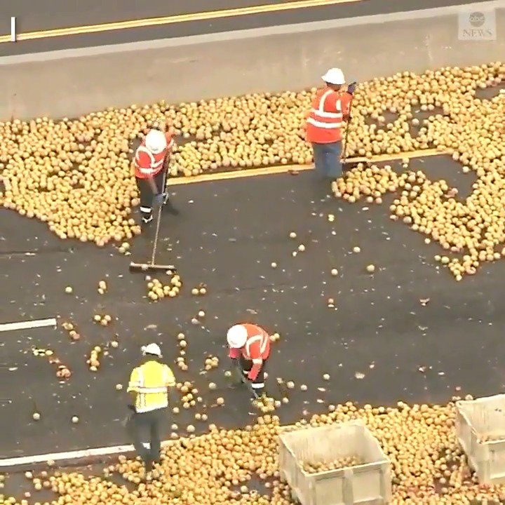 一辆拉葡萄柚的卡车在美国佛罗里达州一条高速上翻车，水果洒了一地