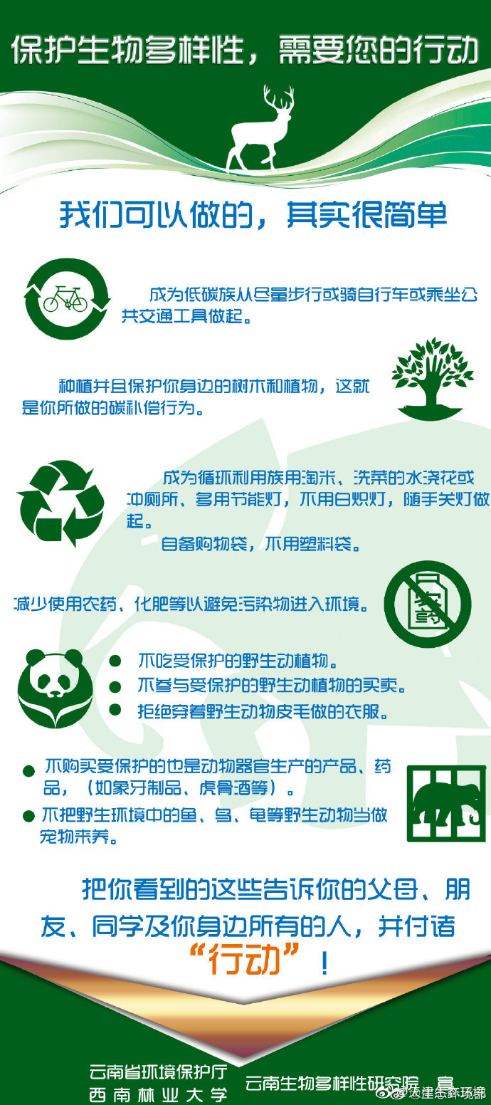 优秀生态环境宣传产品(11)|保护生物多样性,需要你的行动(海报)