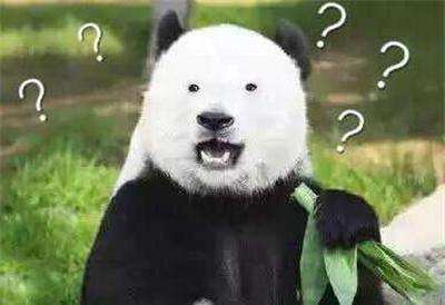 表情包:来自大熊猫的卖萌一击,不敢相信这曾经是蚩尤的坐骑