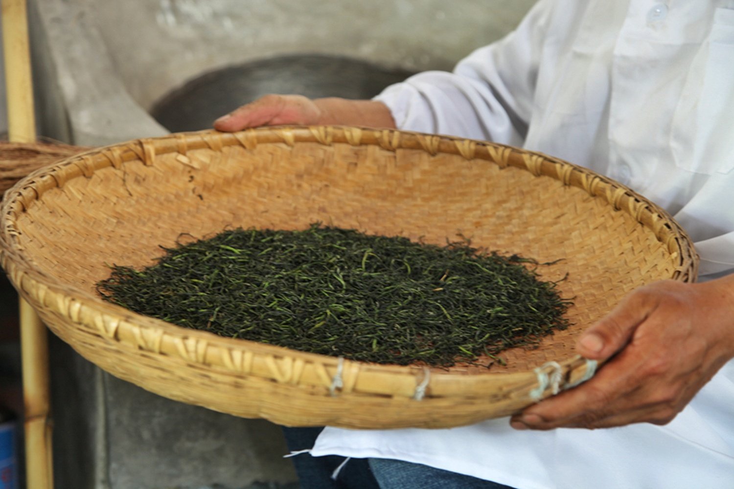 中国名茶，亩产三斤需要24万颗嫩芽，卖多少你觉得最合适