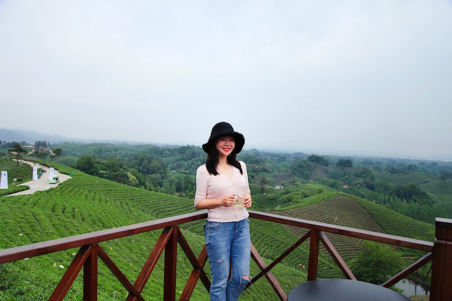 中国名茶，亩产三斤需要24万颗嫩芽，卖多少你觉得最合适