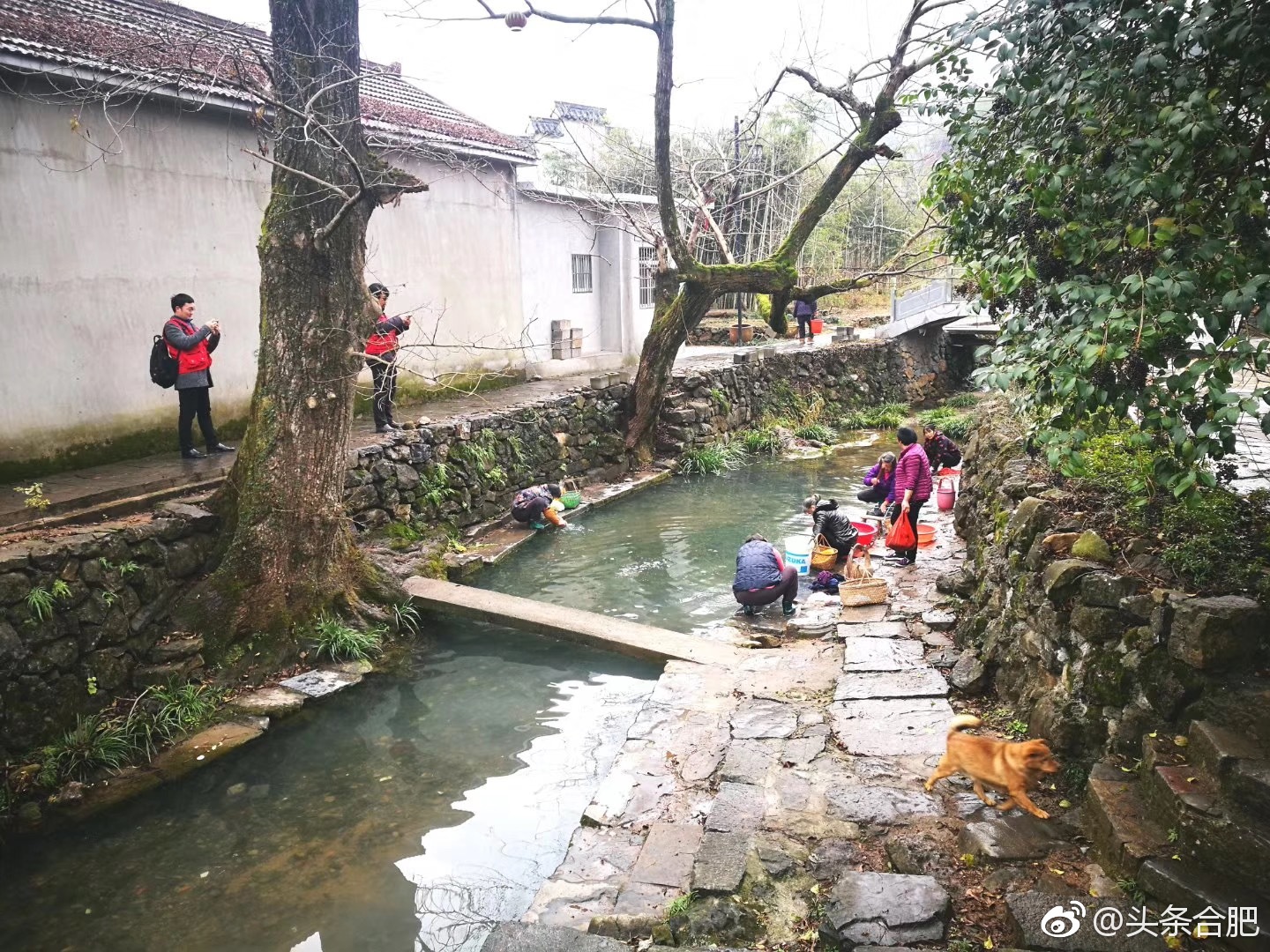 义安区钟鸣镇龙潭肖村是铜陵市最偏远的山村,建村约400年历史